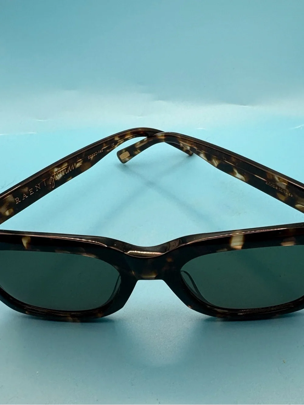 RAEN Gilman Tortoise Frame Sunglasses with Green Lenses